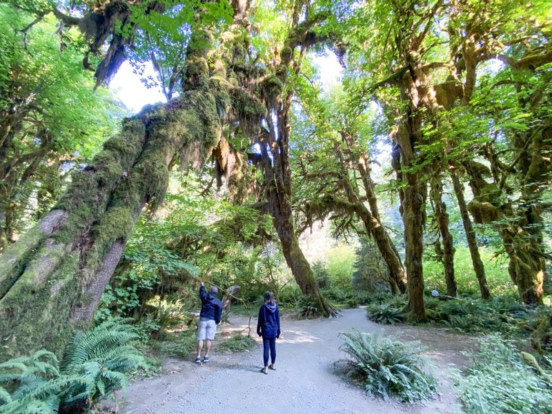 Olympic National Park's Three-in-One Diversity Deserves Multiple Trips