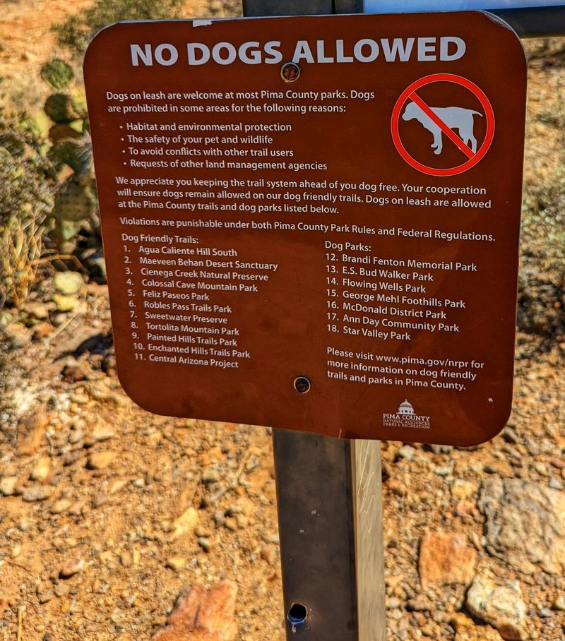 Pets Are Always Allowed