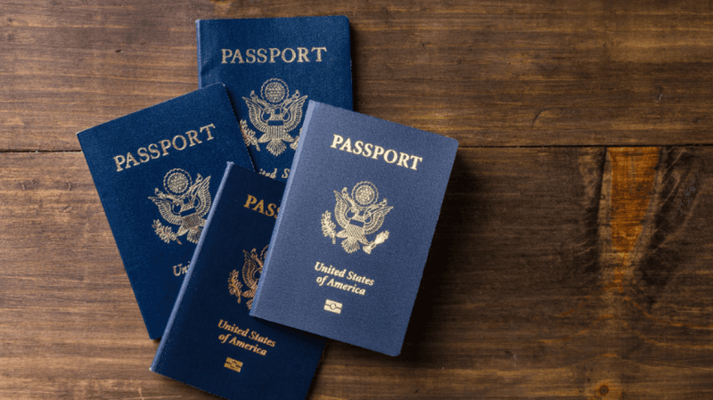 Microwaving Your Passport Deactivates Government Tracking Chips