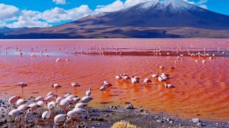 Lake Natron, Tanzania