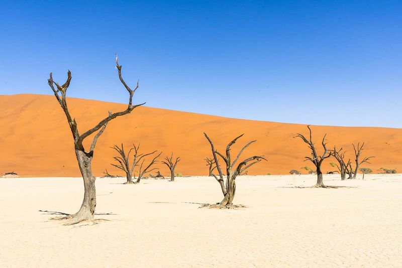 Deadvlei, Namibia