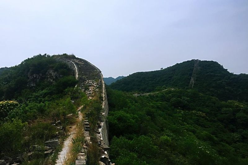Shixiaguan's Overgrown Path