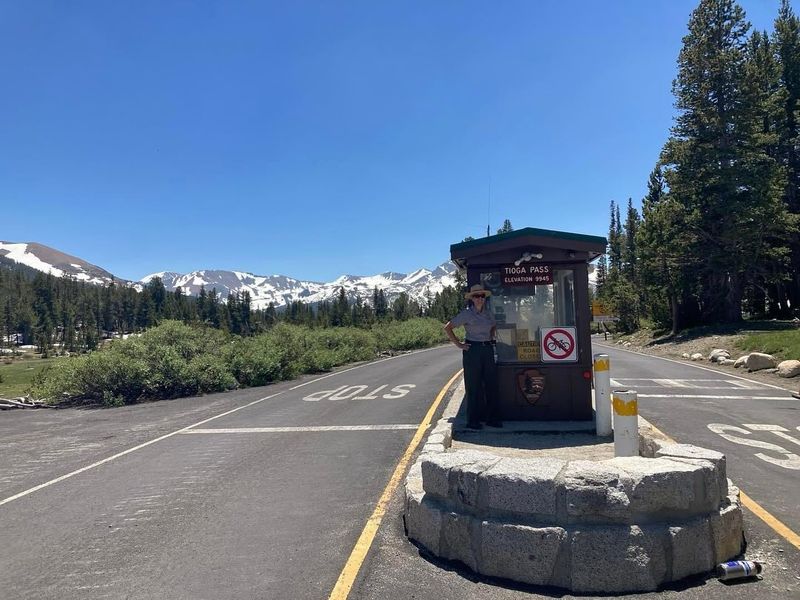 Rocky Mountain's High-Altitude Highway Robbery