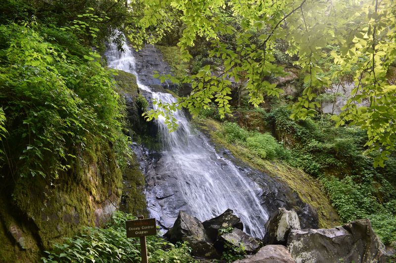 Hike The Hen Wallow Falls Trail
