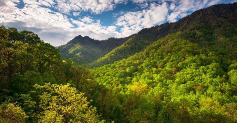 10 Best Things To Do In This Quiet Tennessee Mountain Town + 5 Hidden Gems Nearby