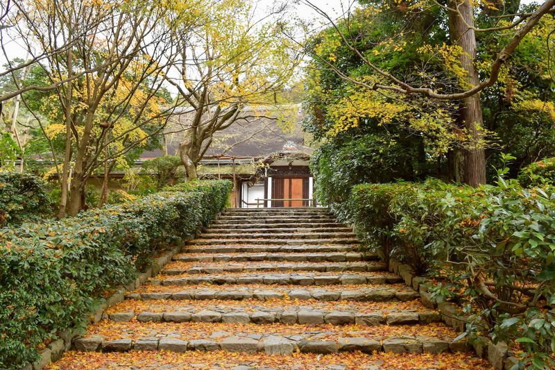 Kyoto, Japan
