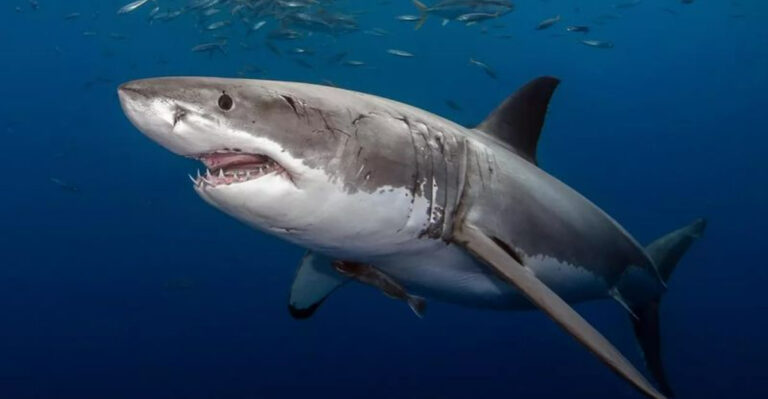 10 Most Dangerous Beaches In America