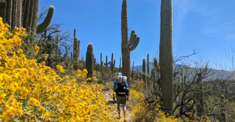 10 Must-See Spots In This Desert-Meets-Mountains Town + 8 Tourist Mistakes To Avoid