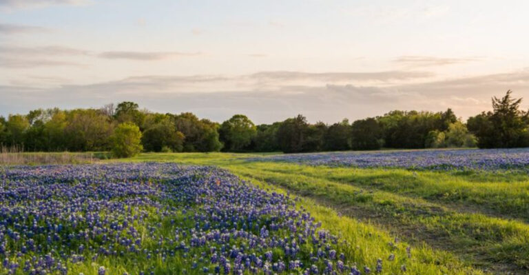 11 Romantic Getaways In Texas On A Budget