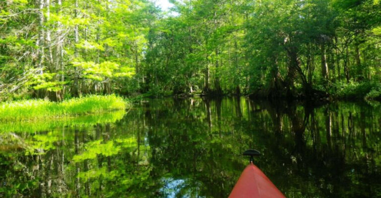 11 Things To Do In This Unique Florida City + 5 Most Tourists Get Wrong