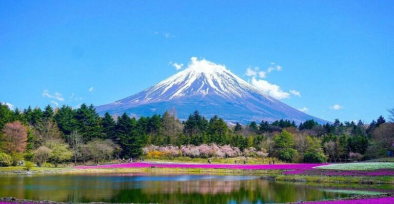 15 Countries That Have The Most National Parks