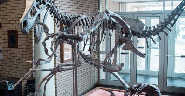 15 Dino-Lover Destinations In Utah You Didn’t Know Existed