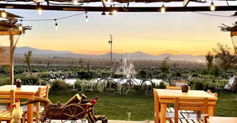 15 Must-See And Taste Experiences In Valle De Guadalupe, Mexico’s Wine Country Gem