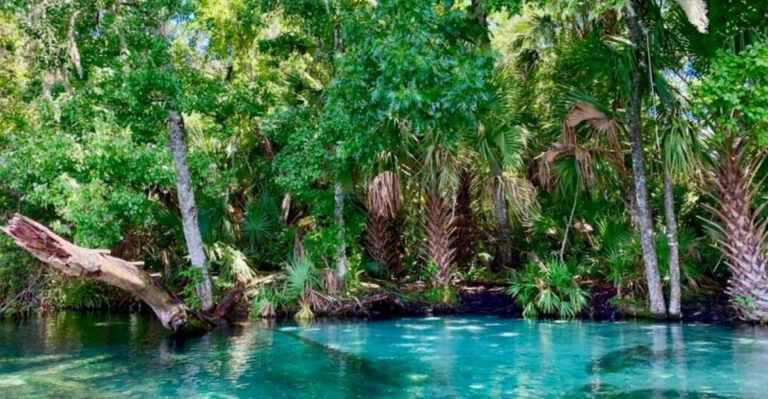 16 Florida Destinations That Are As Good (Or Better) Than The Caribbean