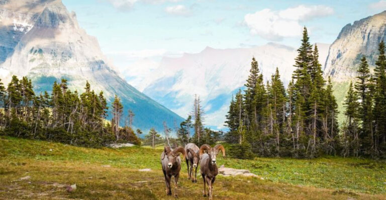 17 Best Natural Places In The USA For Solo Travelers