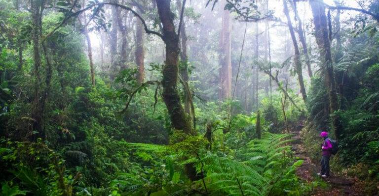17 Destinations That Reward You For Getting Lost