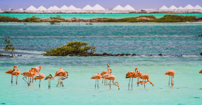 17 Places Outside Of America You Can Go Without A Passport