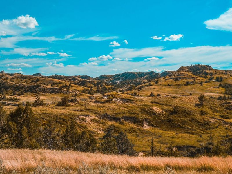 North Dakota