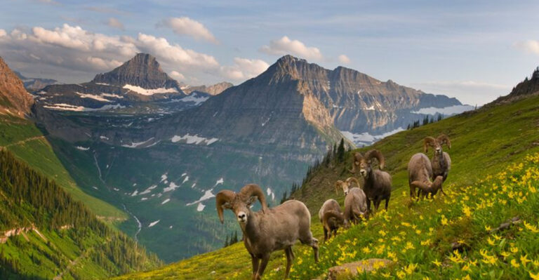 3 States You Can Skip, But These 12 Are Absolutely Worth Visiting At Least Once
