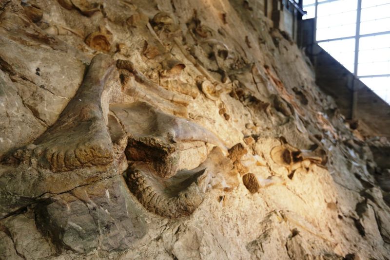 Dinosaur National Monument – Colorado/Utah