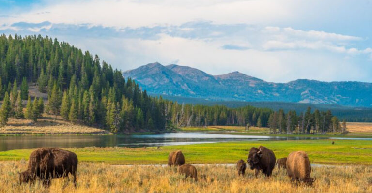 5 Unforgettable Entrances To A National Park