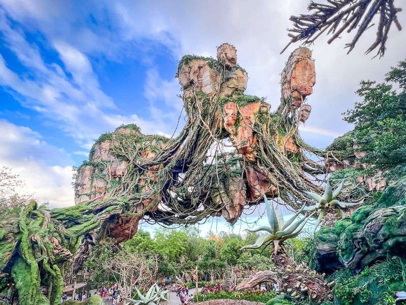 6. Disney's Animal Kingdom