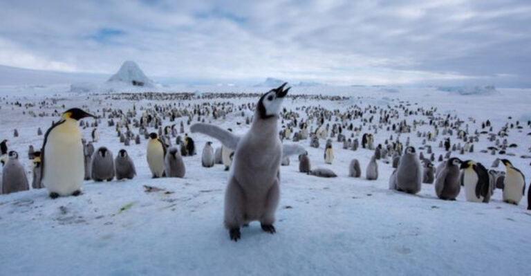 7 Disappointing Winter Spots And 12 That Capture The Beauty Of The Season