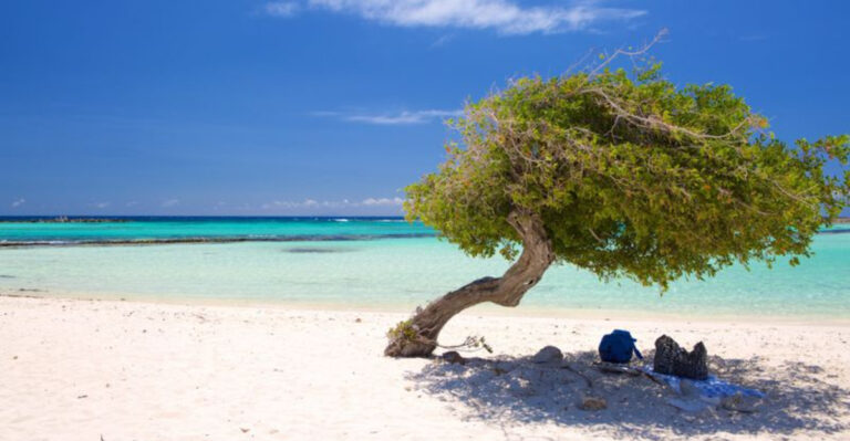 7 Safe Caribbean Islands + 10 Where Scams Are Common