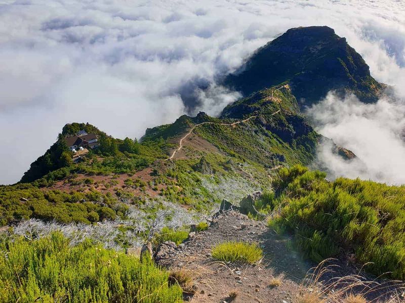 Madeira's Lush Adventure Paradise