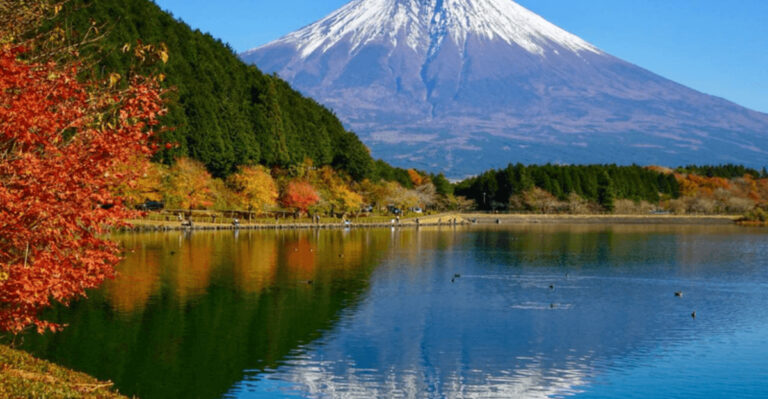 9 Destinations That Change Completely Every Season
