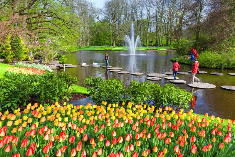 Keukenhof Gardens: A Symphony of Color
