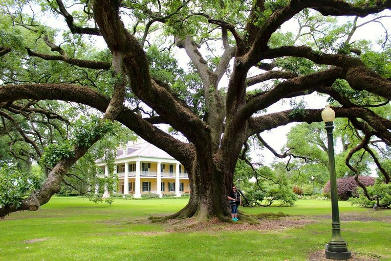 St. Francisville - Plantation Paradise