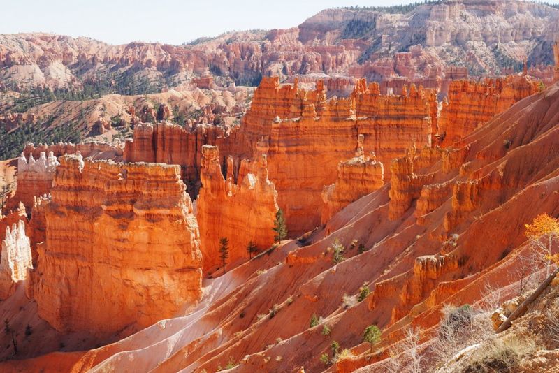 Utah's Red Rock Wonderland