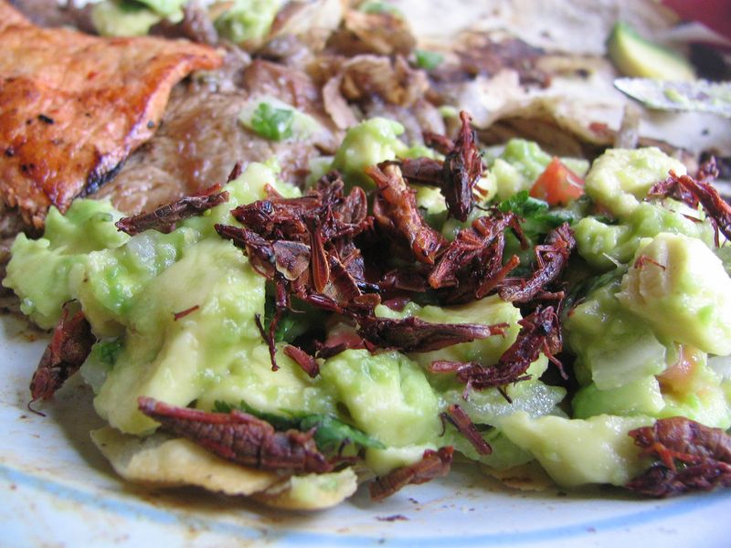 Chapulines (Grasshoppers)