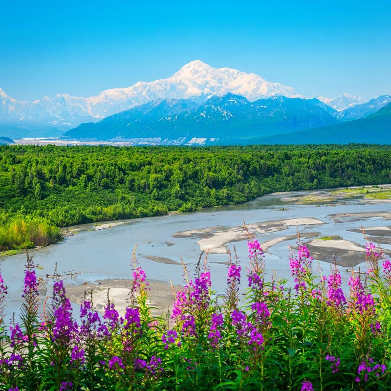 Denali National Park