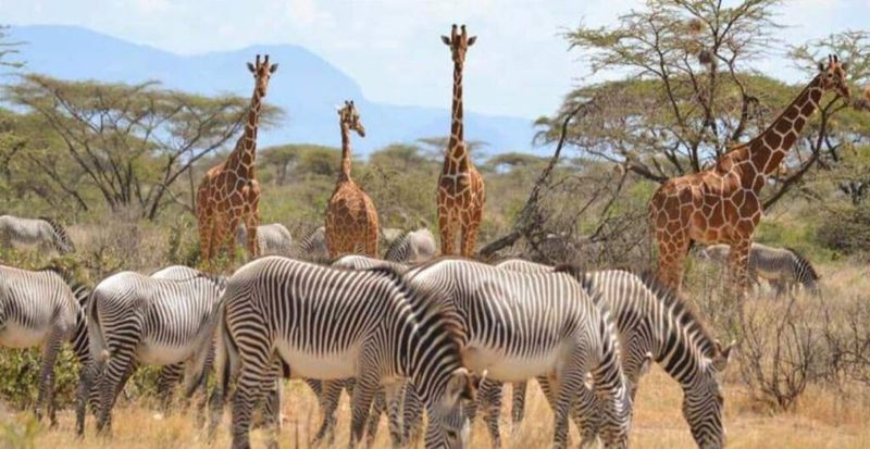 Samburu, Kenya