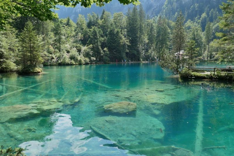 Blausee's Mirror Lake Magic