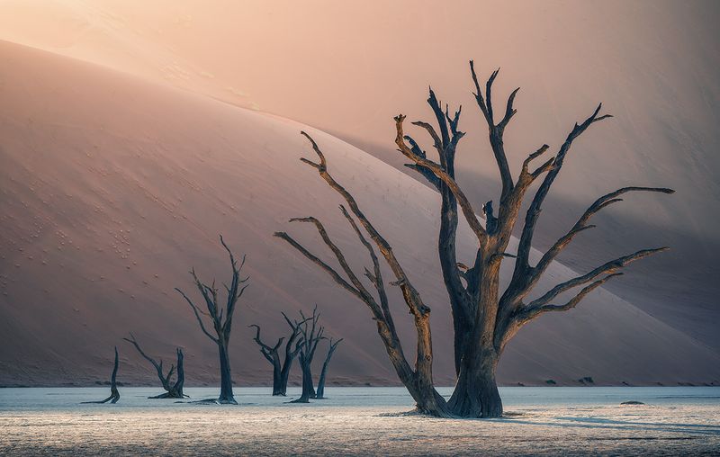 Namib Desert's Ancient Dunes Tell Time's Story