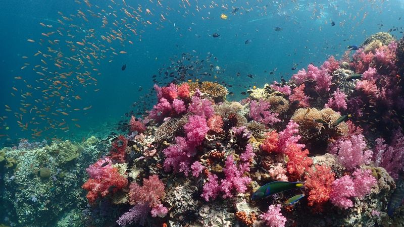 Koh Lipe, Thailand: The Maldives of Southeast Asia