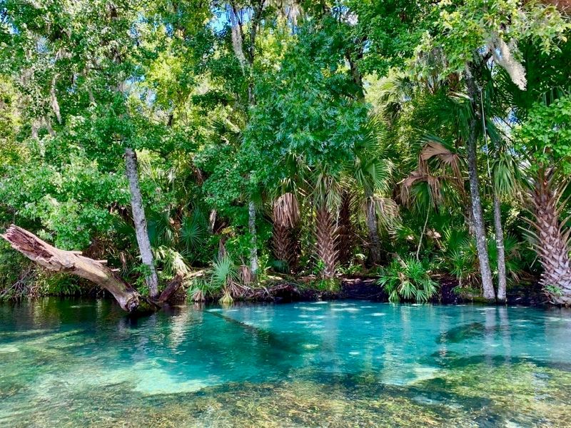 Rainbow Springs State Park