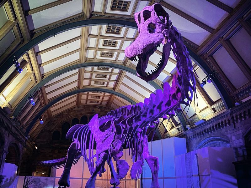 Natural History Museum (London, UK)
