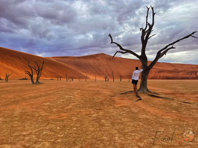 Sossusvlei Desert, Namibia