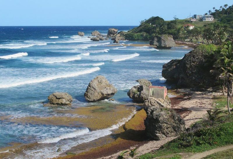 Barbados' Secluded Beach Hazards