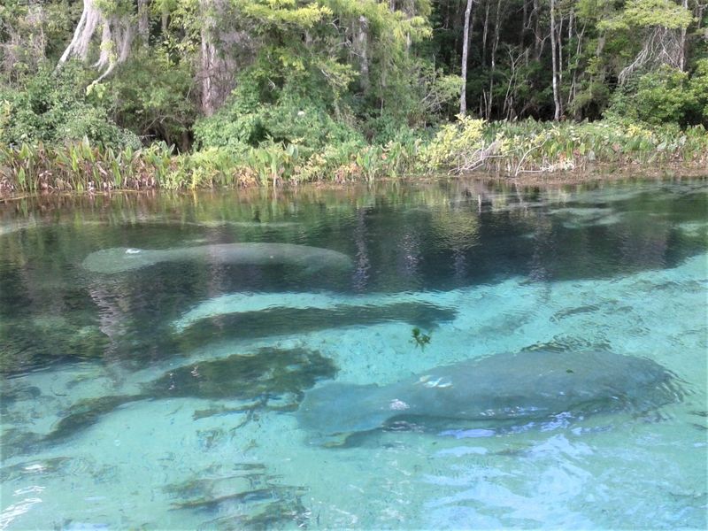 Wakulla Springs State Park