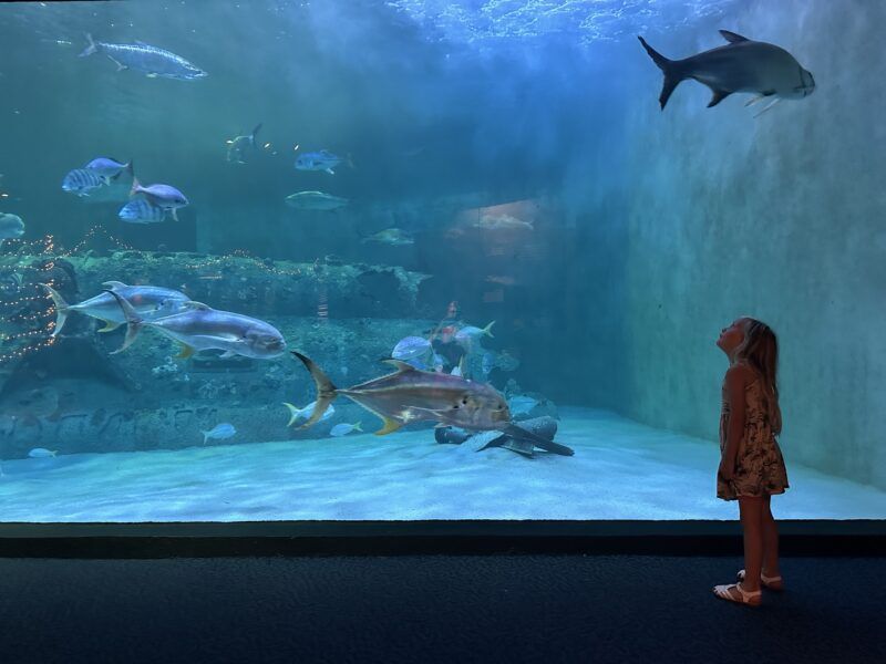 North Carolina Aquarium at Pine Knoll Shores