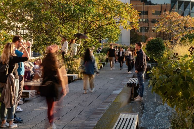 High Line Park on Summer Weekends