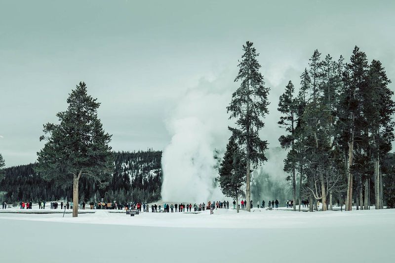 Yellowstone's Winter Wonderland