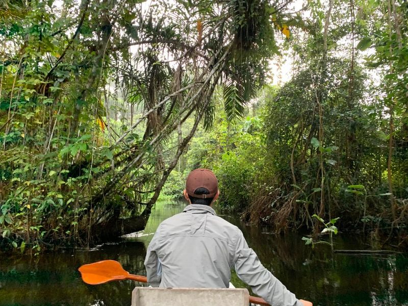 Amazon Rainforest Whispered Ancient Secrets To Me