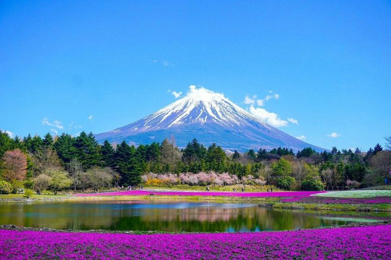 Japan - Maintaining 34 National Parks