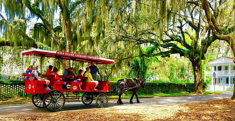 Carriage Tours
